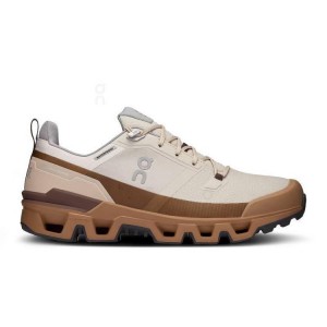 Brown On Cloud Cloudwander Waterproof Men Hiking Shoes | EG_ON8494